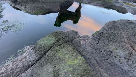 Black-dog-reflected-in-water,-walking-on-rocks-at-dusk-dawn