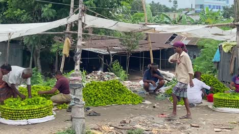 Zeitlupenaufnahme-Von-Bauern,-Die-Frischen-Kürbis-Auf-Einem-Markt-In-Sylhet-Verkaufen