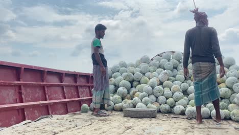 Two-workers-in-a-boat-looking-at-a-pile-of-freshly-collected-fruit