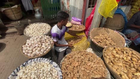 Panning-shot-of-a-young-man-sorting-out-the-raw-ginger-roots-into-a-basket-for-sale