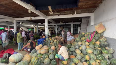 Panning-shot-of-freshly-harvested-pumpkins-for-sale-in-a-street-market-in-Sylhet