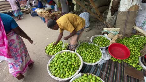 Working-man-bags-wild-mango-in-busy-streets-of-India