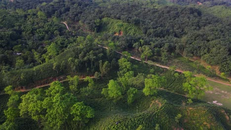 Vista-Aérea-Del-Paisaje-De-Los-Senderos-De-La-Selva-En-El-Bosque-Ecológico-De-Khadimnagar-En-Bangladesh