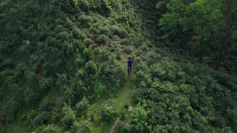 Hombre-Solo-Caminando-Por-La-Cresta-De-La-Montaña-Verde,-Parque-Nacional-Khadimnagar