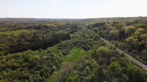 Drone-flying-over-a-sunny,-summer-Hamilton-forest