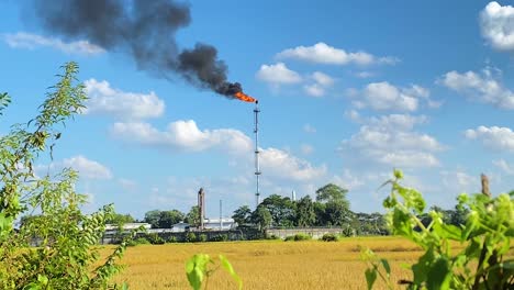 Gas-burning-in-industrial-area,-near-serene-peaceful-farmland,-static,-day