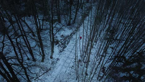 Aerial-view-of-a-man-in-a-red-hood-walking-on-a-snowy-forest-path