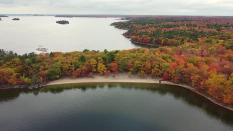 Aerial-shot-of-lake-and-colorful-trees-in-autumn