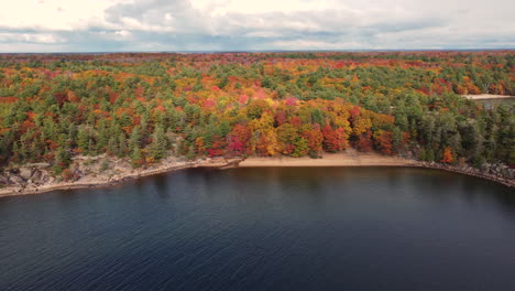 Aerial,-lake-side-pine-tree-forest-with-red-and-orange-leaves-during-autumn-fall