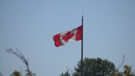 Kanadische-Flagge-Auf-Der-Stange,-Die-Im-Wind-Vor-Blauem-Himmel-Weht