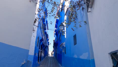 Tilt-Down-to-narrow-alley-from-vine-connected-rooftops,-Chefchaouen-Morocco