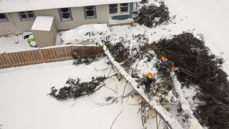 Baumpfleger-Schneiden-Und-Räumen-Umgestürzten-Baum-Auf-Wohngrundstück-Nach-Schneesturm-Ab