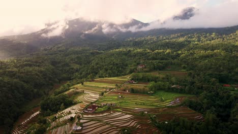 Stunning-Nature-Landscape-Of-Jatiluwih-Rice-Terraces-In-West-Bali,-Indonesia