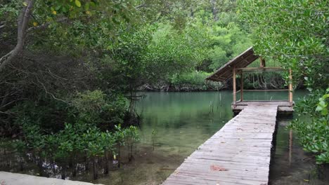 Wooden-Boardwalk-And-Hut-In-Mangrove-Forest-At-Sumilon-Island-Resort-In-Oslob,-Cebu,-Philippines