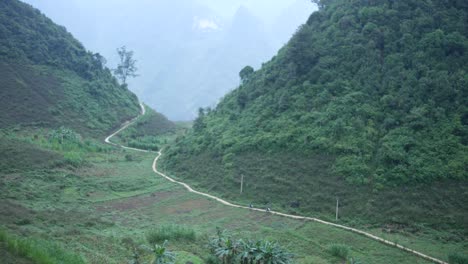 Kleiner-Straßenweg-Durch-Den-Regenwalddschungel-Vietnams-Voller-Grüner-Nebel