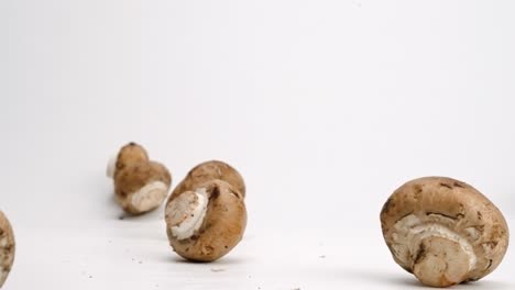 Whole-mushrooms-falling-and-bouncing-on-white-studio-backdrop-in-4k-slow-motion