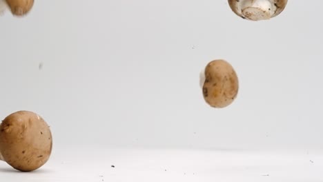 Chopped-mushroom-heads-falling-and-bouncing-in-slow-motion-on-white-studio-backdrop-in-4k