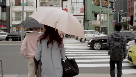 Frau-Mit-Regenschirm-überquert-Eine-Straße-In-Tokio