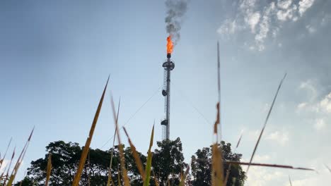 Static-view-of-burning-flame-from-Gas-flare-industry,-behind-grass,-low-angle