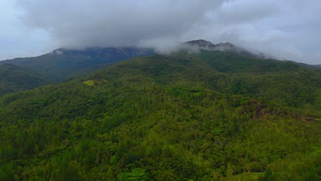 Soaring-above-the-tropical-mountain,-the-drone-shot-gradually-descends,-revealing-the-dense-forest-below-as-it-approaches-during-a-cloudy-day
