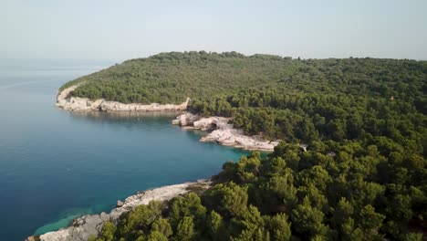 Aerial-view-of-Croatia's-beautiful-coastal-shores-covered-in-trees