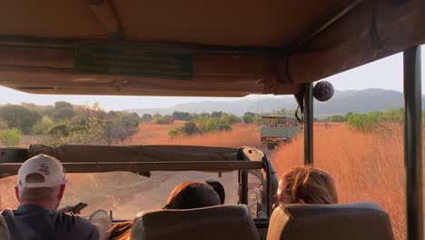 POV:-Safari-Gäste-Fahren-Im-Offenen-Truck-Durch-Die-Goldene-Afrikanische-Savanne