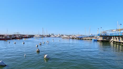 Buoys-and-Yachts-floating-in-the-Punta-del-Este-Harbour,-Uruguay