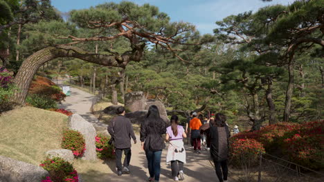 Escena-De-Turistas-En-El-Jardín-Botánico-Del-Arboreto-Hwadamsup-En-Gwangju,-Corea-Del-Sur