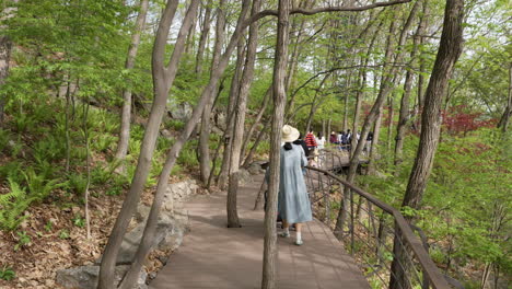 Besucher-Spazieren-Auf-Einem-Malerischen-Weg-Mit-üppigem-Grün-Im-Botanischen-Garten-Hwadam-In-Gwangju,-Südkorea