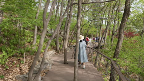 Visitantes-Paseando-Por-Un-Sendero-Panorámico-Con-Exuberante-Vegetación-En-El-Jardín-Botánico-De-Hwadam-En-Gwangju,-Corea-Del-Sur