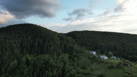 Aerial-Pine-Forest,-drone-view-of-coniferous-environment-pine-forest,-foliage-woodlands,-agriculture-and-forestry-industry,-rural-chalets