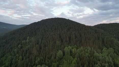 Luftdrohnenansicht-Der-Tiefen-Waldumgebung