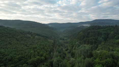Luftaufnahme-Der-Grünen-Umweltwaldzone-Der-Türkei
