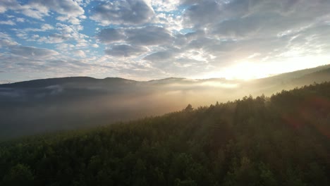 Nature-Morning,-drone-footage-of-sunrise-view-in-deep-forest,-majestic-woodland,-lands-affected-by-the-climate-crisis