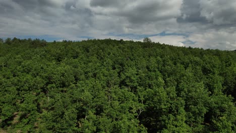 Forest-Among-Clouds,-green-woodland-land-drone-view,-turkish-mountain-range-view,-high-green-fields-under-clouds-and-sky
