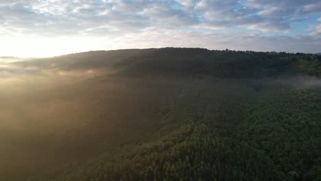 Foggy-Morning,-majestic-woodland,-drone-footage-of-sunrise-view-in-deep-forest,-image-formed-in-the-forest-by-daylight