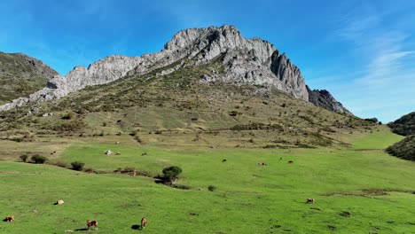 Cubillas-De-Arbas-Berge-Aus-Der-Luft,-Zeigen-Erschossene-Pferde-Und-Kühe