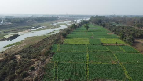 Rivers-of-West-Bengal-and-the-agriculture-developed-on-them-