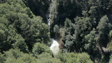 AERIAL---Rio-Bonito-waterfall-and-forest,-Patagonia,-Neuquen,-Argentina,-rising-top-down