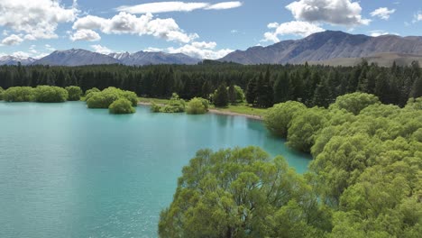 Stunning-shore-of-Lake-Tekapo-with-Pines-Beach-on-perfect-sunny-day,-aerial