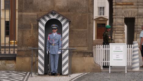 Prague-Castle-Guard-stands-and-defends-President-of-the-Czech-Republic