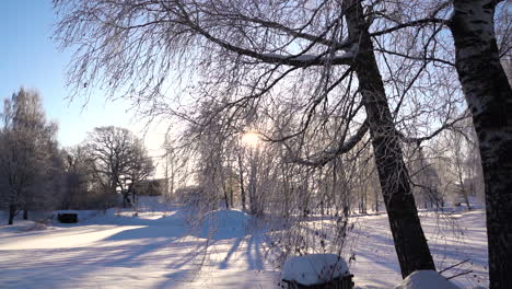 Frostige-Bäume-Auf-Verschneiter-Landschaft-An-Einem-Kalten-Wintermorgen-In-Schweden