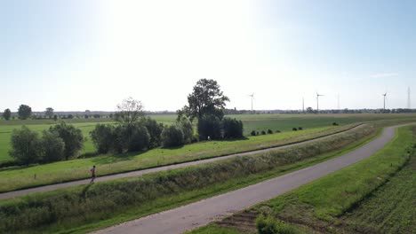 Aerial-following-and-approach-of-a-trail-runner-training-exercise-with-sustainable-energy-electricity-windmills-on-the-horizon-in-Dutch-river-IJssel-landscape-with-floodplains-against-a-blue-sky