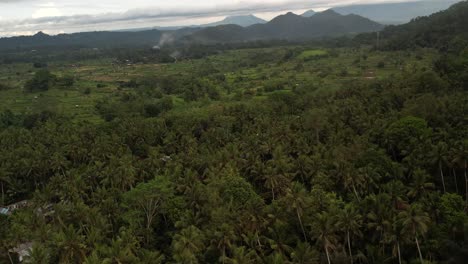 Bali-countryside-landscape,-Agricultural-fields,-Dense-jungle-vegetation,-Aerial-establishing-shot