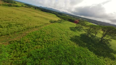 Entdecken-Sie-Das-Paradies-Hawaii-In-Kauai:-Eine-Reise-Durch-Seine-Naturlandschaften,-Majestätischen-Berge-Und-4K-Luftaufnahmen-Der-Pazifischen-Inselstrände,-Des-Blauen-Ozeans-Und-Seiner-Natürlichen-Schönheit