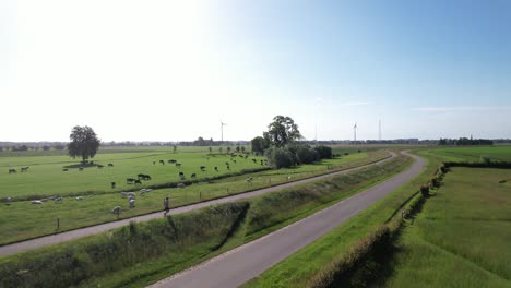 Morning-sun-slow-aerial-following-of-a-trail-runner-training-exercise-with-sustainable-energy-electricity-windmills-on-the-horizon-in-Dutch-river-IJssel-landscape-with-floodplains-against-a-blue-sky