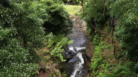 Footbridge-Reveals-Flowing-River-At-Parque-das-Frechas,-Agualva,-Terceira-Island,-Azores-Portugal