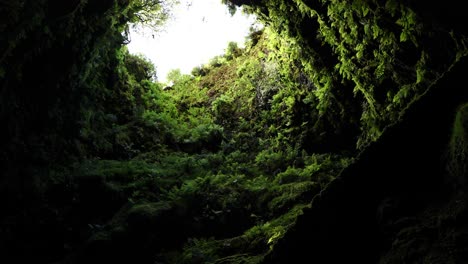 Looking-Up-Into-Lava-Tube-Of-Algar-do-Carvão-In-Terceira-Island,-Acores,-Portugal