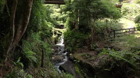 Small-Waterfall-Flowing-Into-Creek-At-Parque-das-Frechas-In-Agualva,-Azores,-Portugal