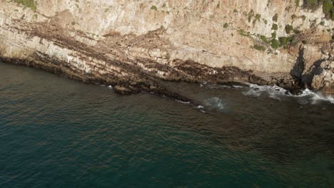 Südafrika-Große-Robbenkolonie,-Die-Im-Meer-Schwimmt-Und-Auf-Den-Felsen-Im-Robbberg-Naturschutzgebiet-Liegt